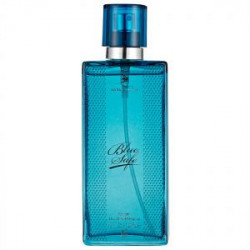 Blue Safe 100 ml Dorall