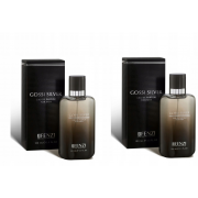 Gossi Silver 2x100ml JFenzi